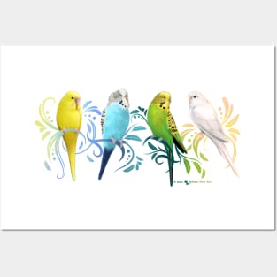 Colorful Parakeets Posters and Art